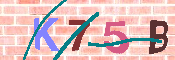キャプチャ画像