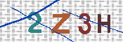 キャプチャ画像