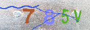 キャプチャ画像