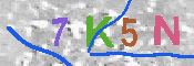 キャプチャ画像