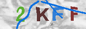 キャプチャ画像