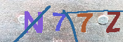 キャプチャ画像