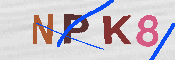 キャプチャ画像