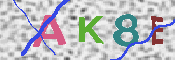 キャプチャ画像