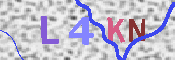 キャプチャ画像