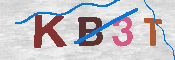 キャプチャ画像