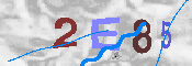 キャプチャ画像