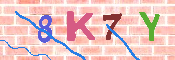 キャプチャ画像
