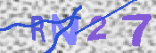 キャプチャ画像