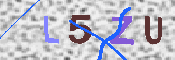 キャプチャ画像
