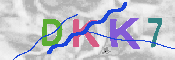 キャプチャ画像