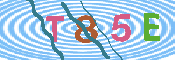 キャプチャ画像