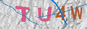 キャプチャ画像