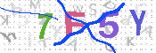 キャプチャ画像