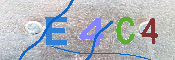 キャプチャ画像