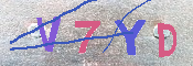 キャプチャ画像