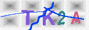 キャプチャ画像