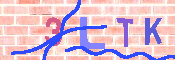 キャプチャ画像