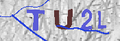 キャプチャ画像