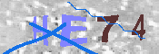 キャプチャ画像