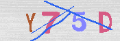 キャプチャ画像