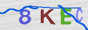 キャプチャ画像