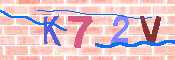 キャプチャ画像