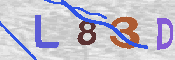 キャプチャ画像