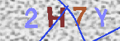 キャプチャ画像