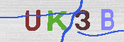 キャプチャ画像