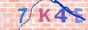 キャプチャ画像