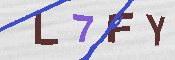 キャプチャ画像