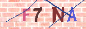 キャプチャ画像