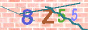 キャプチャ画像
