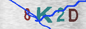 キャプチャ画像