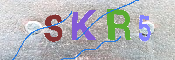キャプチャ画像