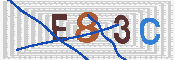 キャプチャ画像