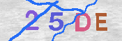 キャプチャ画像