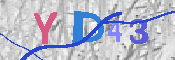 キャプチャ画像