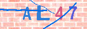 キャプチャ画像
