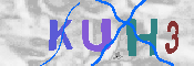キャプチャ画像