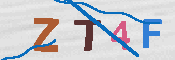 キャプチャ画像