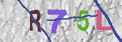 キャプチャ画像