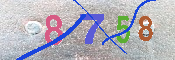 キャプチャ画像