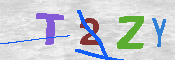 キャプチャ画像