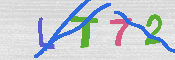 キャプチャ画像