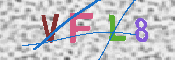 キャプチャ画像