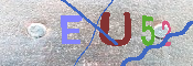 キャプチャ画像