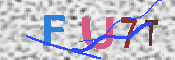キャプチャ画像