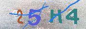 キャプチャ画像